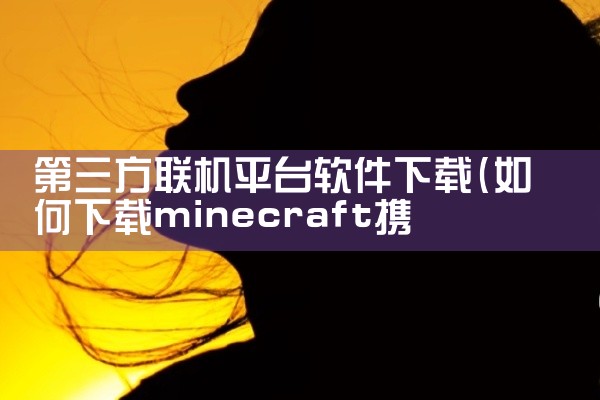 第三方联机平台软件下载