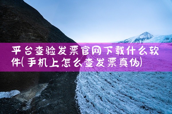 平台查验发票官网下载什么软件