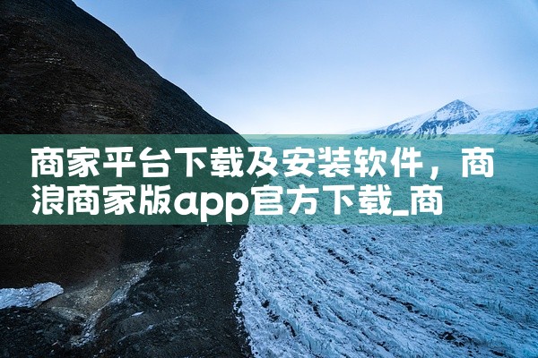 商家平台下载及安装软件