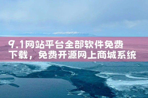 9.1网站平台全部软件免费下载