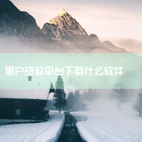 3）美团借钱：在美团APP，我的→钱包→借钱申请，20到55岁、美团实名认证，平台消费活跃者优先，额度500元到20万元，对黑户友好，需有稳定偿付能力。4）好分期：用好分期APP申请，20到65岁、职,