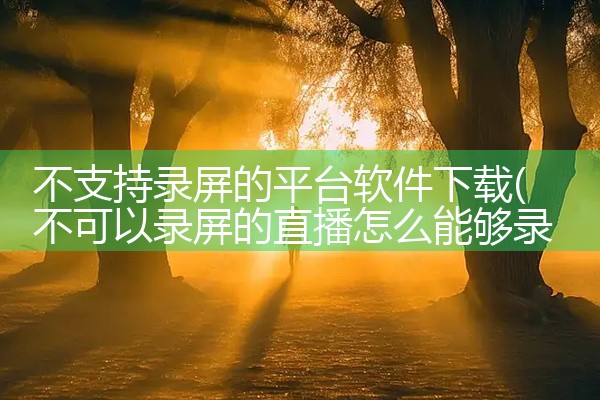 不支持录屏的平台软件下载