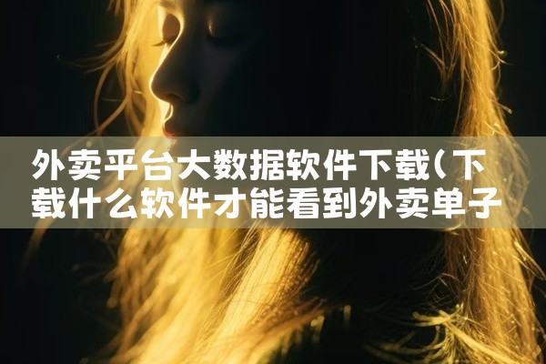 外卖平台大数据软件下载