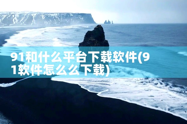 91和什么平台下载软件