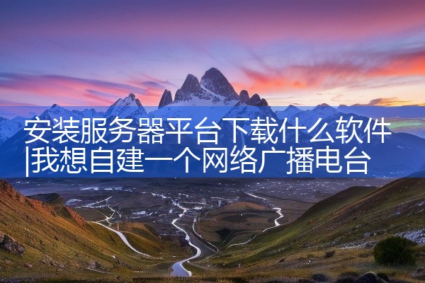 安装服务器平台下载什么软件
