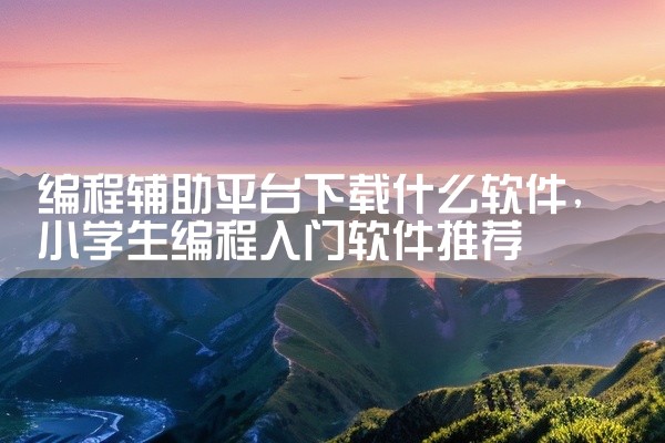 编程辅助平台下载什么软件