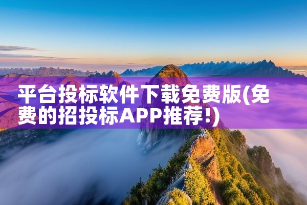 平台投标软件下载免费版