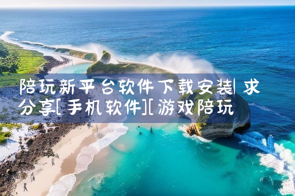 陪玩新平台软件下载安装