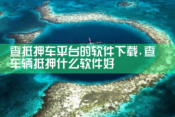查抵押车平台的软件下载