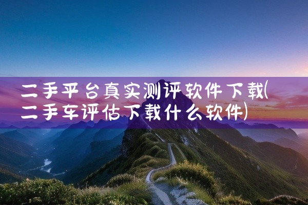 二手平台真实测评软件下载