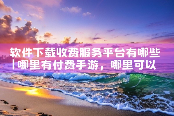 软件下载收费服务平台有哪些